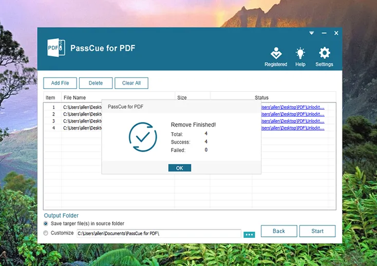 PDF PDF