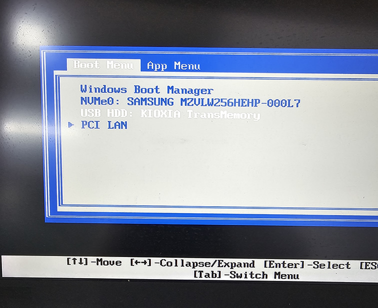 set boot order in the BIOS