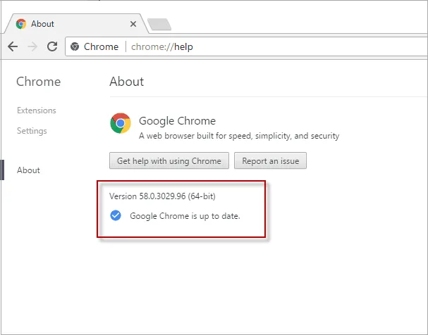 Update Google Chrome 